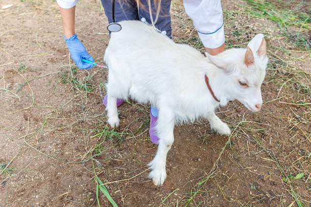 Mujer joven veterinaria con jeringa que sostiene e inyecta cabrito de cabra en el fondo del rancho. Cabra joven con manos de veterinario, vacunación en eco granja natural. Cuidado de los animales y concepto de agricultura ecológica - Foto, imagen