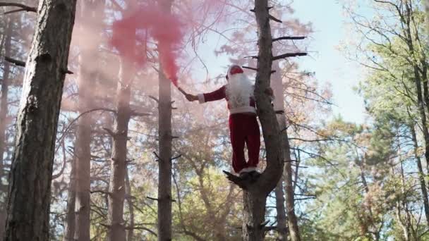 Hauska mies pukeutunut Joulupukki puku lääketieteellinen naamio hänen kasvonsa kiipesi puuhun metsässä ja seisoo värillinen savu joulun ja koronaviruksen Covid-19 Karanteeni lomien aikana. Hidastus - Materiaali, video