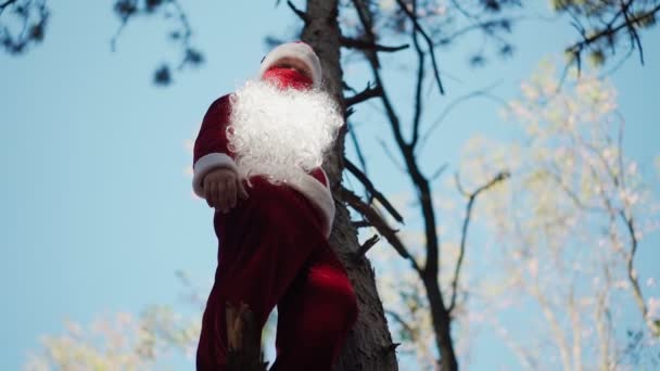 Αστείος άνθρωπος ντυμένος με κοστούμι Άγιος Βασίλης με ιατρική μάσκα στο πρόσωπό του σκαρφάλωσε δέντρο στο δάσος και στέκεται. Χριστούγεννα και Coronavirus Covid-19. Καραντίνα κατά τη διάρκεια των διακοπών. Αργή κίνηση - Πλάνα, βίντεο