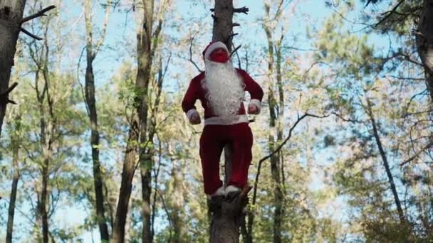 Szczęśliwy człowiek ubrany w strój Świętego Mikołaja z maską medyczną na twarzy wspiął się na drzewo w lesie i zabawny taniec. Boże Narodzenie i koronawirus Covid-19. Kwarantanna podczas świąt. Zwolniony ruch - Materiał filmowy, wideo
