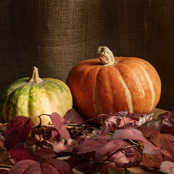Composition of pumpkins and autumn leaves. Autumn still life. Halloween holiday. - Foto, Imagen