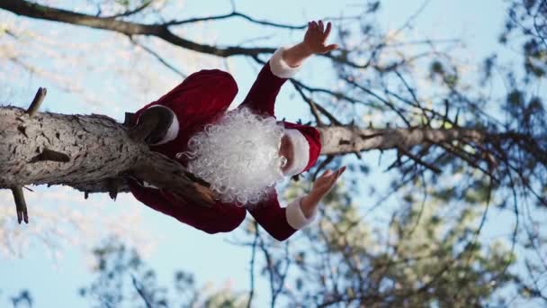 Pionowe wideo Szczęśliwy człowiek ubrany w strój Świętego Mikołaja wspiął się na drzewo w lesie i zabawny taniec. Święta. Zwolniony ruch - Materiał filmowy, wideo
