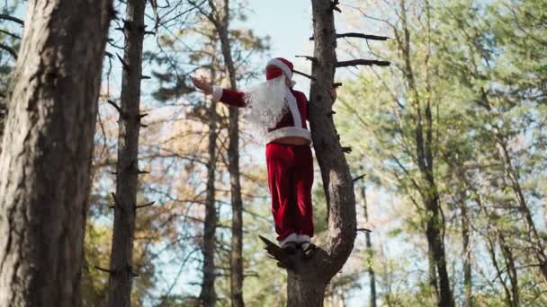 Un hombre divertido vestido con traje de Santa Claus con máscara médica en su cara trepó al árbol en el bosque y se para. Navidad y coronavirus Covid-19. Cuarentena durante las vacaciones. Movimiento lento - Metraje, vídeo