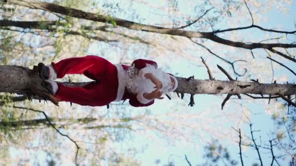 Вертикальное видео Счастливчик, одетый в костюм Санта-Клауса, забрался на дерево в лесу и забавно танцевал. Рождество. Медленное движение - Кадры, видео