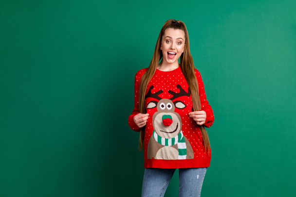 Portrait of her she nice-looking attractive pretty cheerful cheery long-haired girl demonstrating touching deer print sweater eve noel look outfit copy space isolated over green color background - Foto, immagini