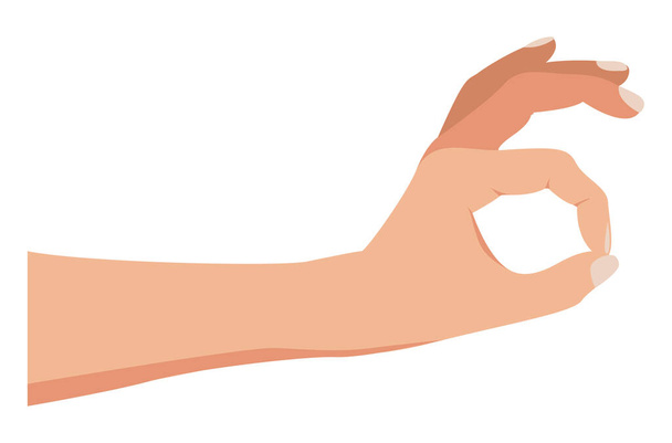 Hand picking something. Okay gesture. Hand isolated on a white background. Gesture pinching, hold, two fingers close. Vector illustration, flat cartoon design, eps 10. - Vetor, Imagem