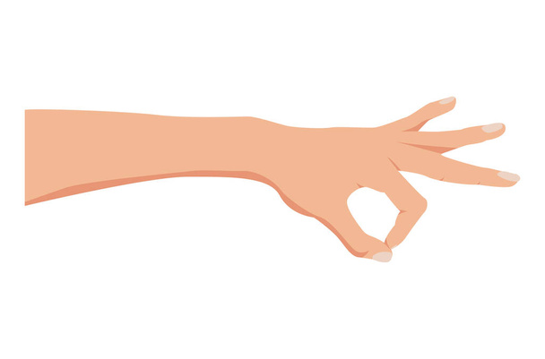 Hand picking something. Okay gesture. Hand isolated on a white background. Gesture pinching, hold, two fingers close. Vector illustration, flat cartoon design, eps 10. - Вектор, зображення