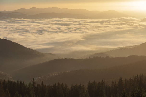 Hiver dans les montagnes des Carpates ukrainiennes avec brouillard matinal - Photo, image