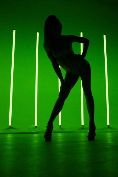 Cool stylish sexy young woman stands in sensual fashion pose on green studio background. Female silhouette against the background of neon lamps. - Valokuva, kuva