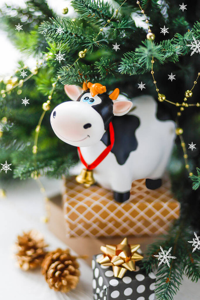 Фигура милого черно-белого быка с подарками, на фоне еловых ветвей с маленькими снежинками. Символ китайского Нового 2021 года, символ нового года. Символ праздника - Фото, изображение