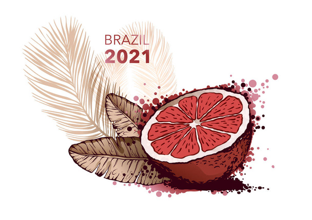 Zitruskeile, Mandarine, Grapefruit. Farbskizze, isoliertes Objekt auf weißem Hintergrund - Vektor, Bild