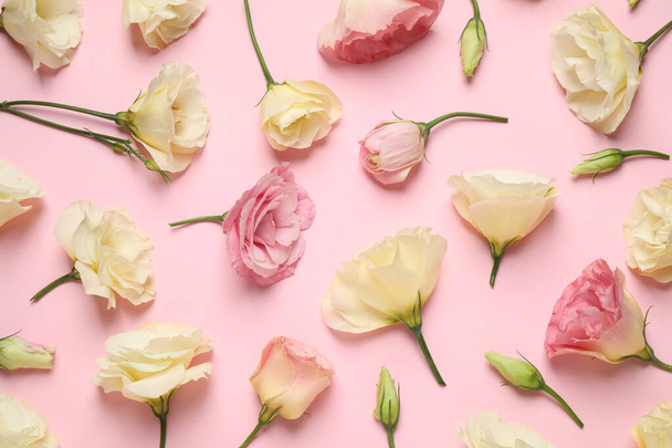 Beautiful Eustoma flowers on pink background, flat lay - Foto, immagini