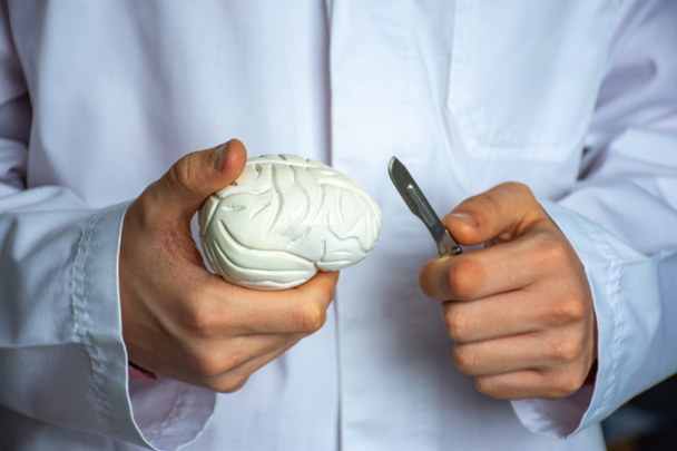 Koncepcja operacji mózgu lub neurochirurgii. Neurochirurg trzymający skalpel w ręku nad anatomicznym modelem 3D ludzkiego mózgu. Operacje chirurgiczne mózgu w leczeniu chorób - guza, tętniaka, padaczki - Zdjęcie, obraz