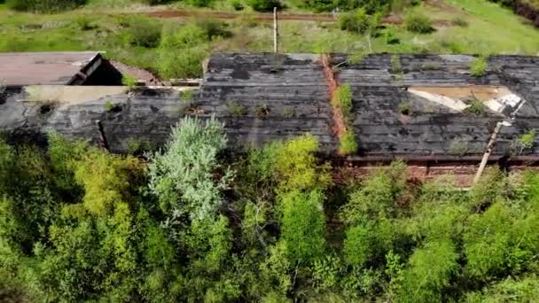 the ruins of the plant are conquered by nature - Footage, Video
