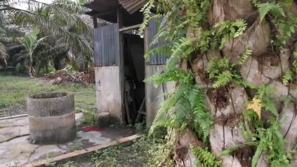 materiał sceny nostalgiczny odkryty Azji wiejskie zewnątrz łazienka - Materiał filmowy, wideo