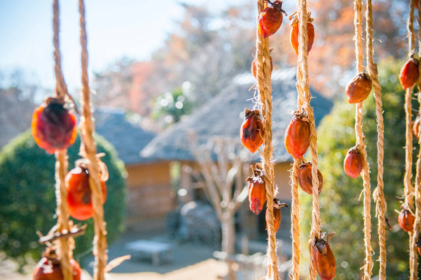 Sun dried Japanese persimmon (Kaki) hanging in sunlight - Photo, Image