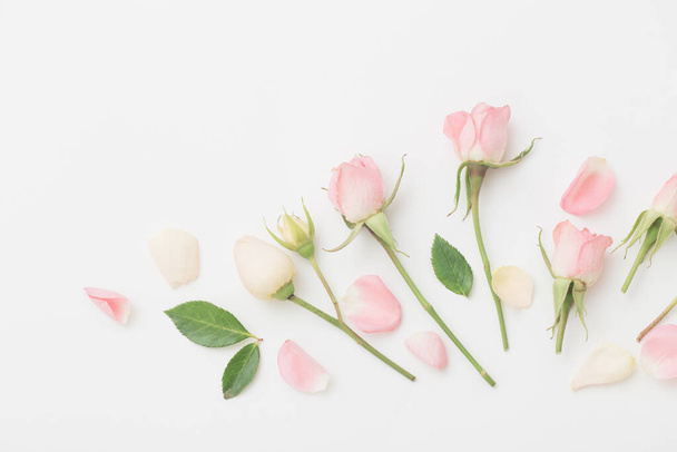 pink and white flowers on white  paper  background - Photo, Image