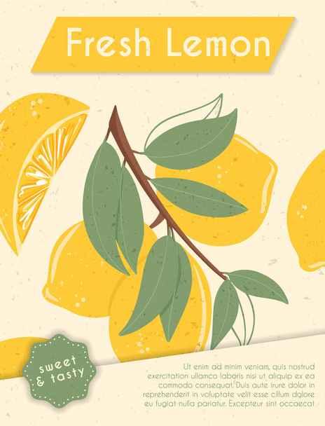 Fresh textured lemon fruits on branch with leaves vector hand drawn card design with text. - Vector, Image
