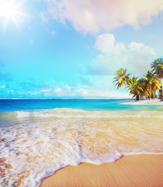 sztuki letnie wakacje plaży oceanu - Zdjęcie, obraz