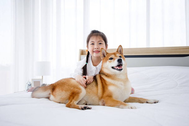 Милая маленькая азиатка и Шиба Ину лежат вместе на кровати в яркой спальне. Концепция семьи с собакой дома. - Фото, изображение
