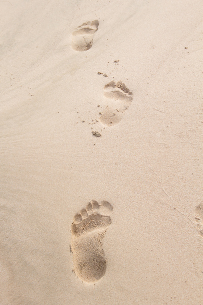 impronte sulla sabbia di un adulto
 - Foto, immagini