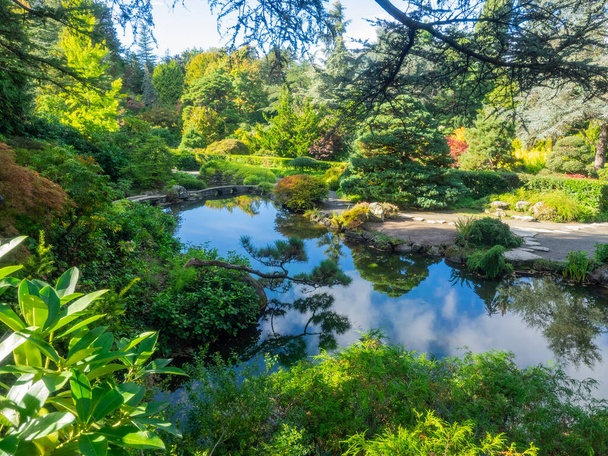 Kubota Garden je 20-akr (81,000 m) Japonská zahrada v Rainier Beach sousedství Seattlu, Washington. Mezi hlavní rysy Kubotské zahrady patří Kubotská terasa, Bambusový háj, Rybníkový náhrdelník, Horský masiv, - Fotografie, Obrázek