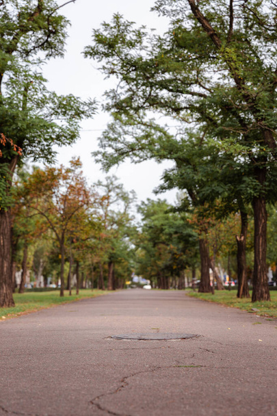 ruhiger verlassener Park im Herbst bei trübem Wetter in der Innenstadt - Foto, Bild