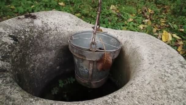 田舎の家の上の古い水。緑の草や木の真ん中に捨てられた井戸. - 映像、動画