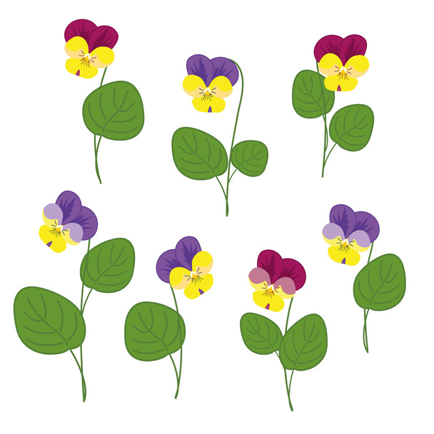 Violetas florestais em fundo branco
 - Vetor, Imagem