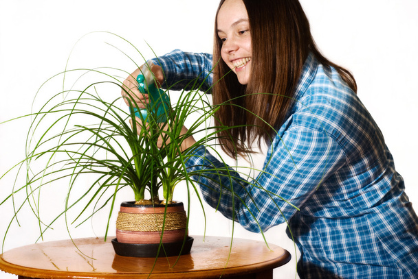 Mulher pulverizando a planta
 - Foto, Imagem