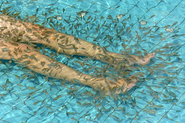 Fish pilling modern spa treatment in a beauty salon - Photo, Image