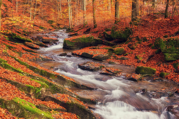 Csodálatos természet táj hegyi patak a színes őszi erdő, természetes szabadtéri utazási háttér alkalmas tapéta, Kárpátok - Fotó, kép