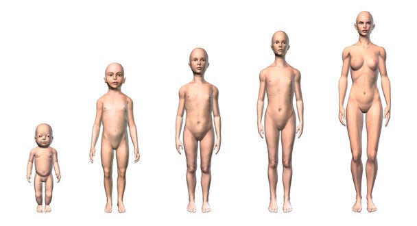 Schema des menschlichen Körpers in verschiedenen Altersstufen. - Foto, Bild