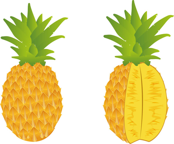 Ананас и ананас с ананасом. - Вектор,изображение