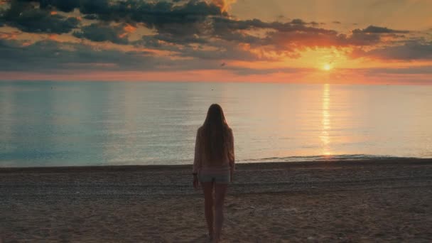Donna con i capelli lunghi che cammina verso il mare e alza le mani - Filmati, video