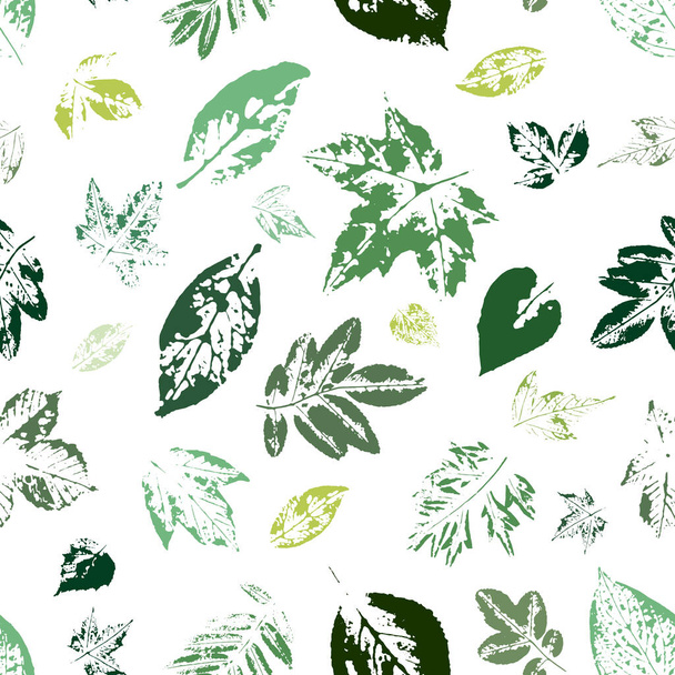 Stylish wallpaper with tree leaves. Prints of green leaves. Postcard with leaves prints. - Vector, Imagen