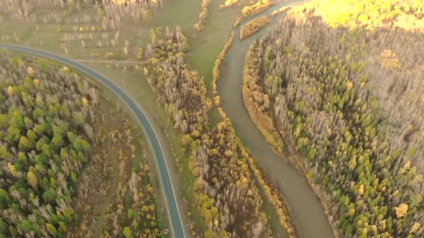 Vista aérea desde un dron sobre un río curva, bosque calvo y carretera asfaltada. - Imágenes, Vídeo