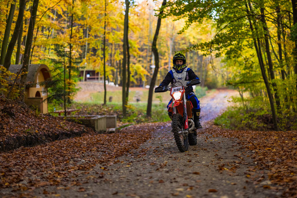 November 7, 2020, images from the enduro motorbike training made in the forest near Pitesti, Romania. - Foto, imagen