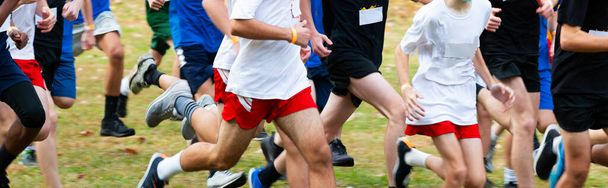 meninos do ensino médio calouros atravessar corredores país correndo uma corrida em um parque. - Foto, Imagem