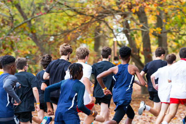 Zadní pohled na velkou skupinu kluků běžících závod 5K na vrcholu listí a s podzimními barevnými stromy v pozadí. - Fotografie, Obrázek