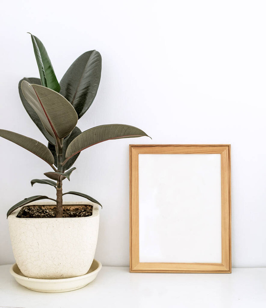 ficus flower in a pot with a wooden frame on a white table, Scandinavian motives, vertical - Foto, Imagem