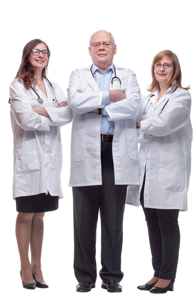 in full growth. a group of qualified medical specialists - Foto, afbeelding