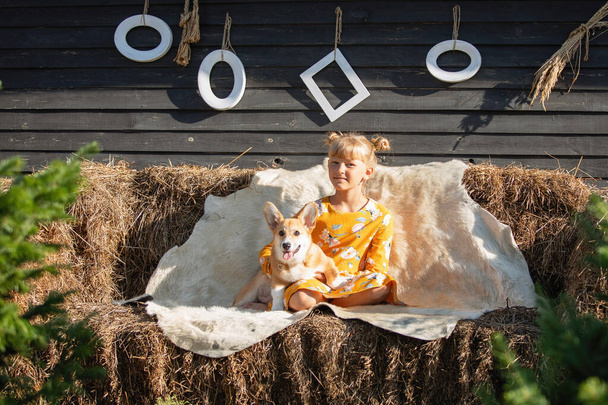 Mädchen sitzt mit einem reinrassigen pembroke walisischen Corgi-Hund auf einem Heuhaufen im Park, der mit Tierhaut bedeckt ist - Foto, Bild