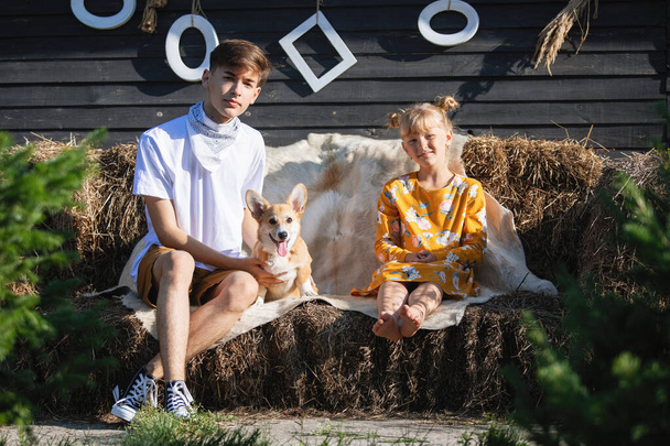 男と女は純血種のペンブロークと座っていますウェールズCorgi犬オンA haystackカバー上の動物の皮で公園 - 写真・画像