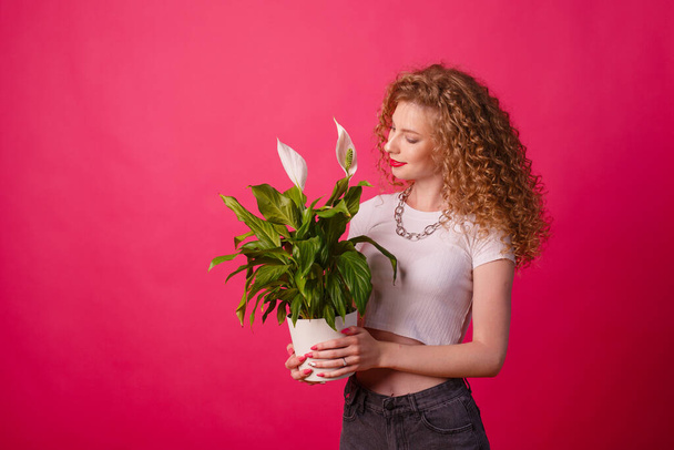 krullend meisje met een pot met een bloem op een roze achtergrond - Foto, afbeelding