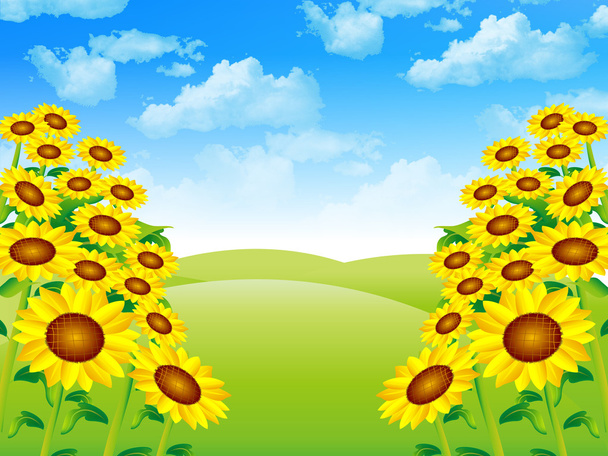 Sunflower landscape background - Vettoriali, immagini