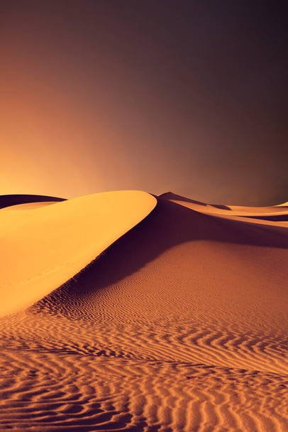 Вид на гарні піщані дюни під час заходу сонця в національному парку Сендс - Дунс. - Фото, зображення