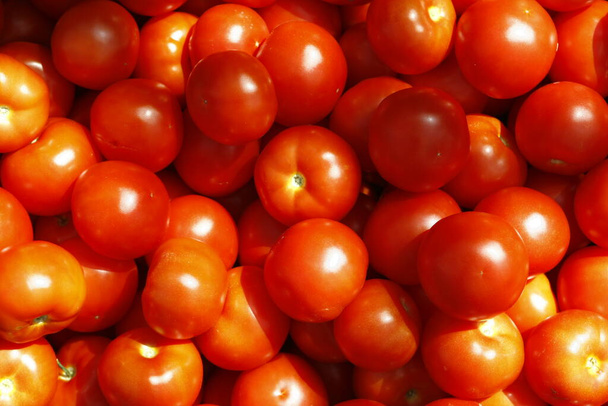Background with red tomatoes from the greenhouse - Φωτογραφία, εικόνα