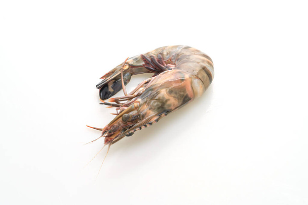 fresh tiger prawn or shrimp isolated on white background - Фото, зображення