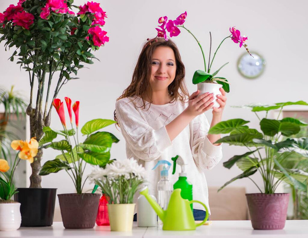 Jeune femme s'occupant des plantes à la maison - Photo, image